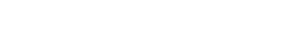 Streetwise Security Services logo